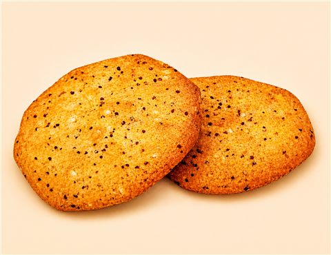Арія